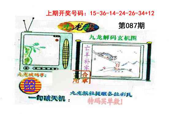 087期九龙报[图]